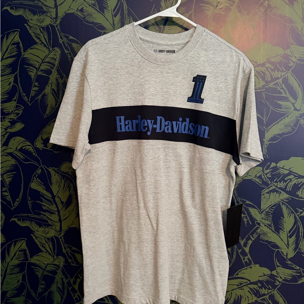 Harley-Davidson Men's Gray Tee with Blue Logo